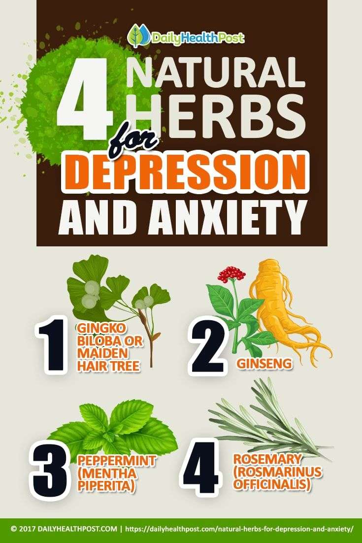 4 Natural Herbs for Depression and Anxiety that Protect your Brain