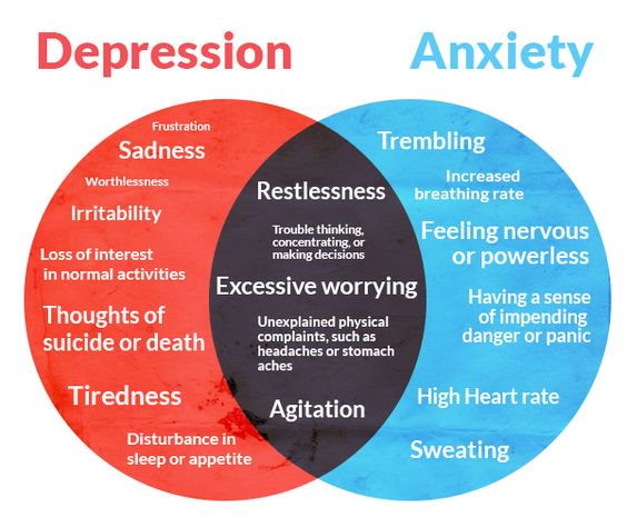 Are Anxiety and Depression Diseases or just Symptoms of Inflammation?