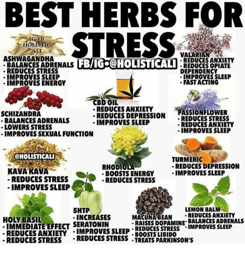 Best Herbs For Stress Valarian Ashwagandha Reduces Anxiety