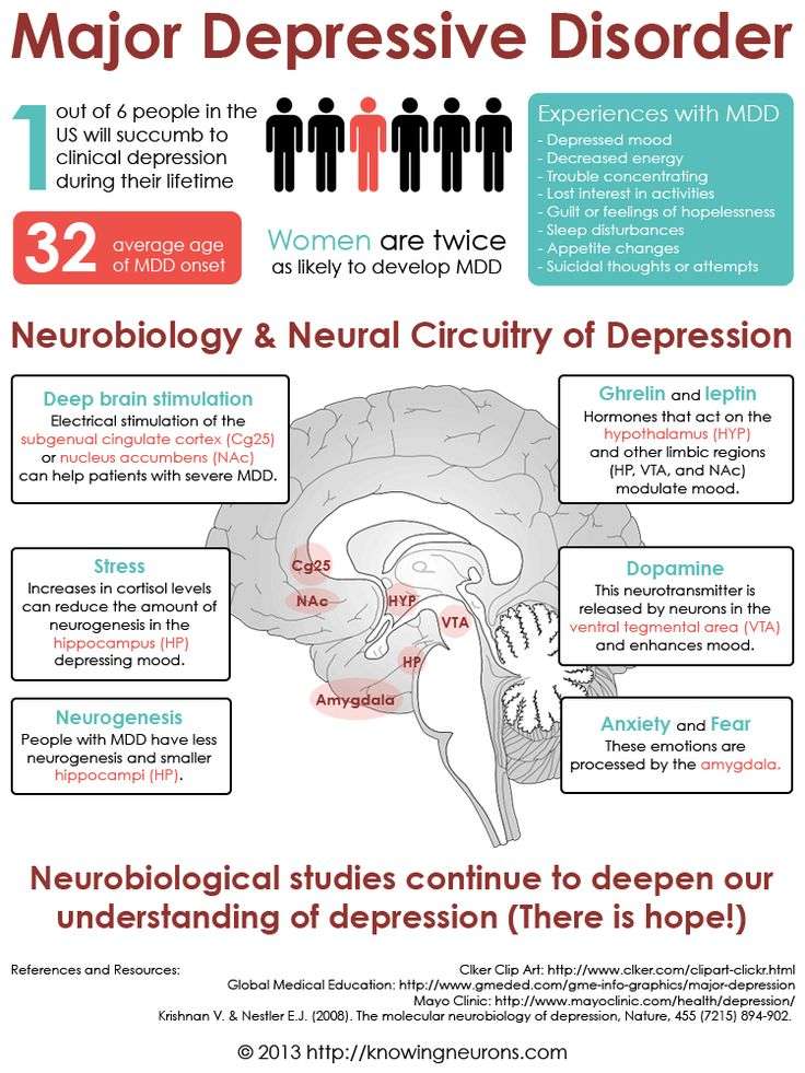 Depression Infographic Knowing Neurons