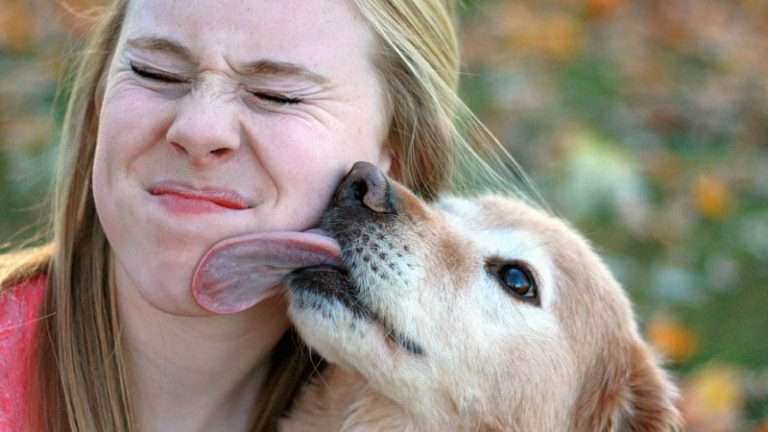 Emotional Support Animals Help Lick Depression, Anxiety ...