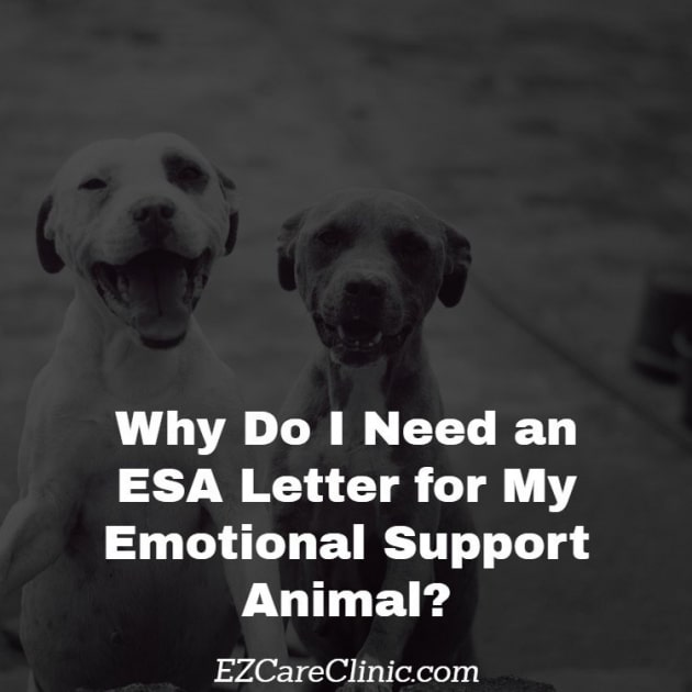Federal Laws Emotional Support Animal  MMJ DOCTOR