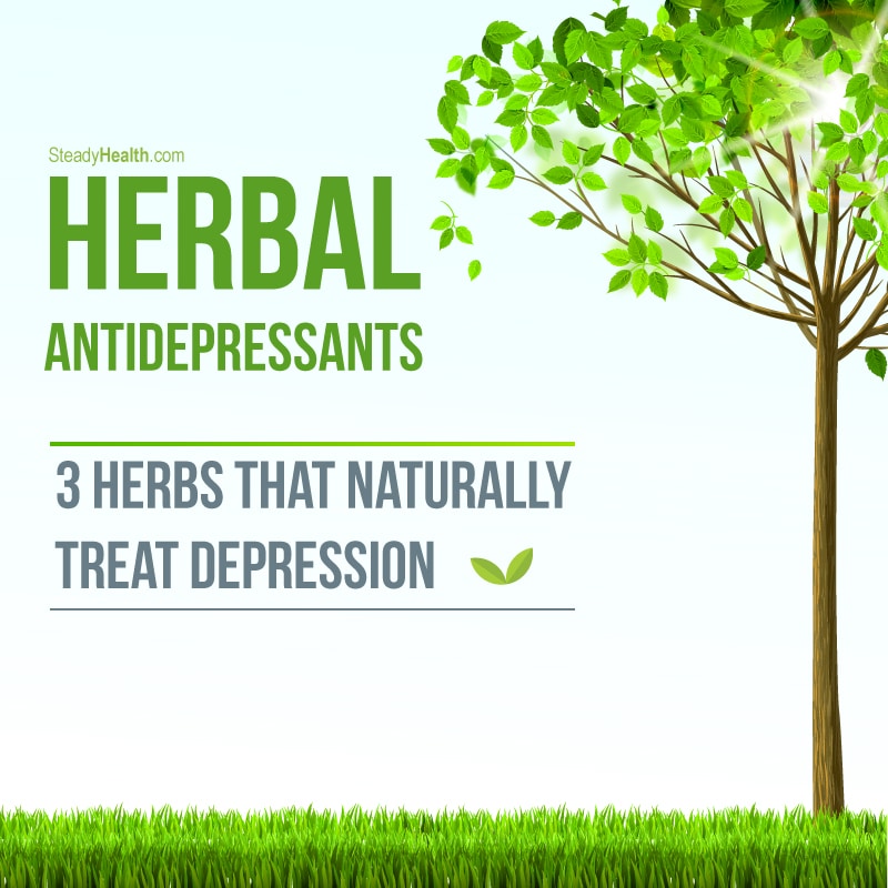 Herbal Antidepressants: 3 Herbs that Naturally Treat Depression ...