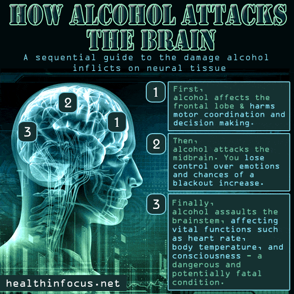 How Does Alcohol Affect The Central Nervous System ~ galambosdesigns