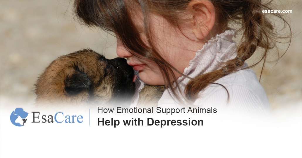 How Emotional Support Animals Help with Depression
