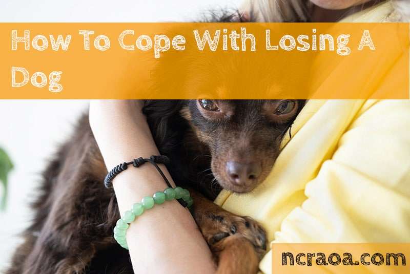 How To Cope With Losing A Dog (Dealing With Death Of A Dog)