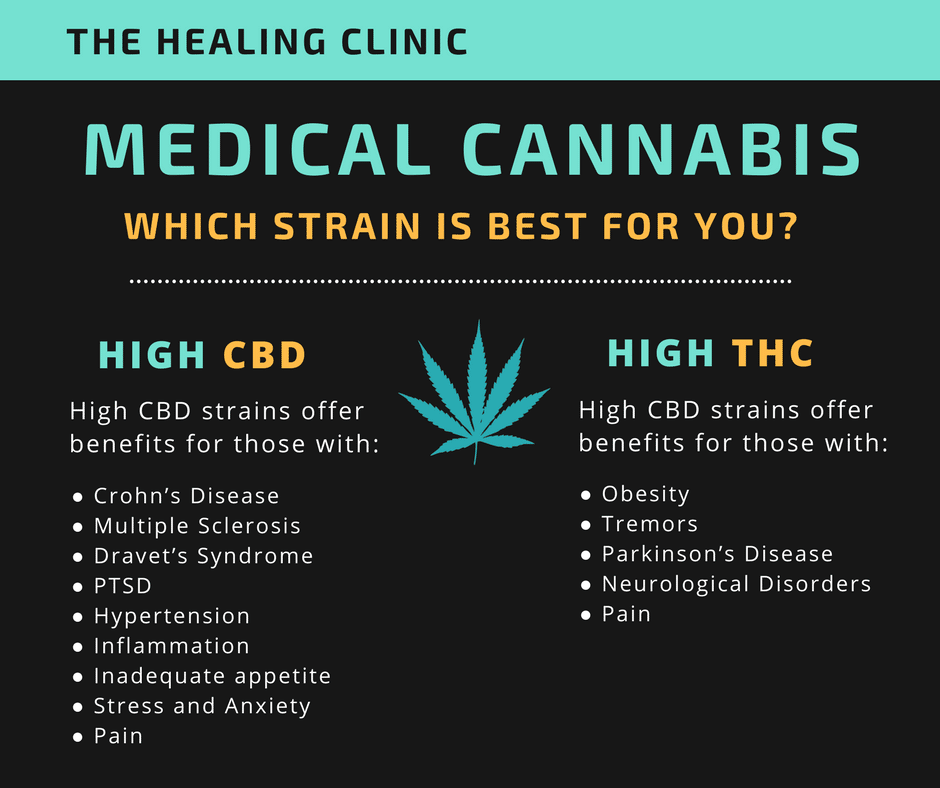 Learn how to find the right strain of medical cannabis for you.