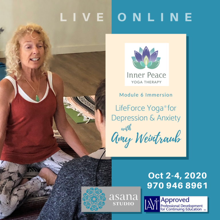 LIVE ONLINE IMMERSION LifeForce Yoga with Amy Weintraub: Yoga for ...