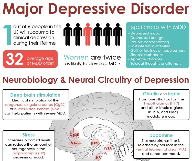 Major depressive disorder : Neurobiology and neural circuitry of depression