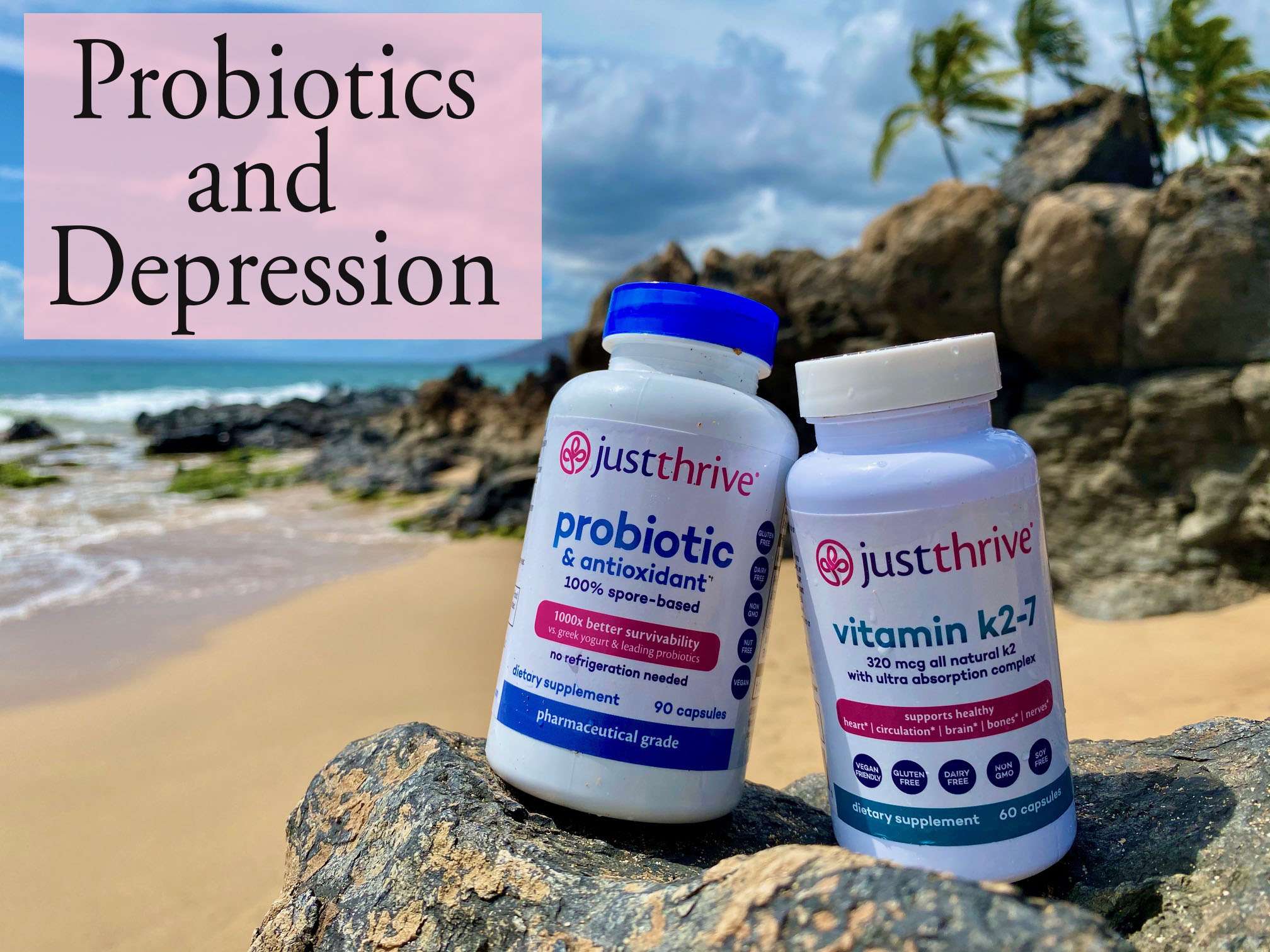 probiotics and depression