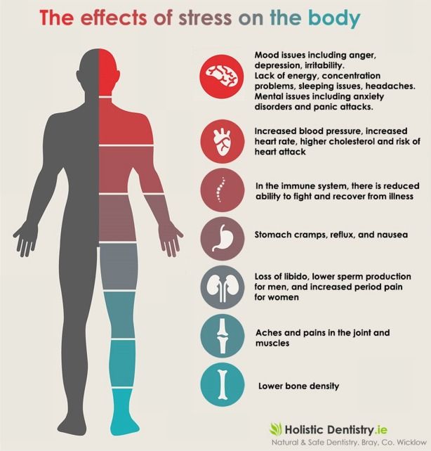 The effects of #stress on the body. #infographic #health #brain #mood # ...