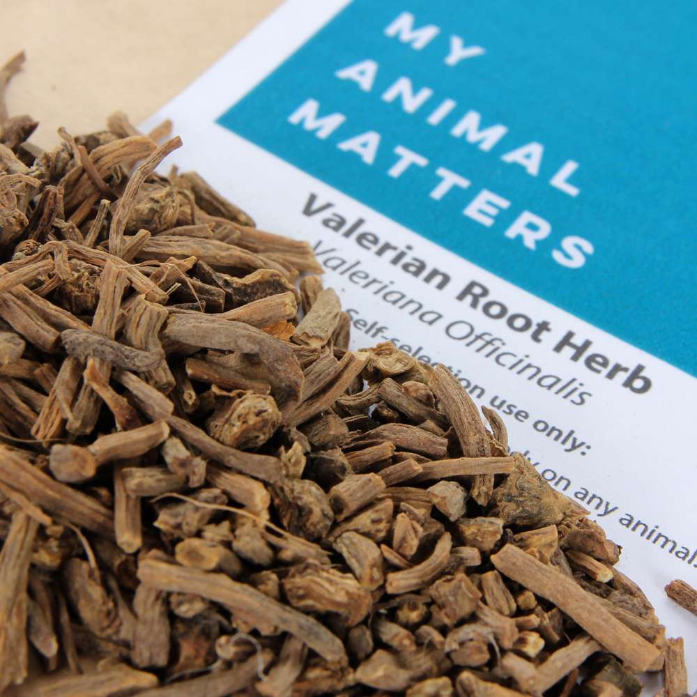 Valerian Root herb